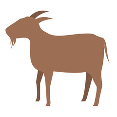 Eid al-Adha sacrificial animal, goat