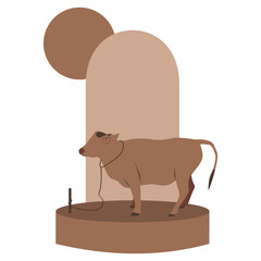 Eid al-Adha sacrificial animal, cow