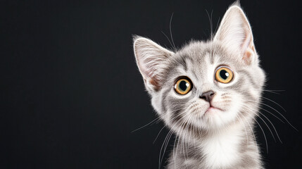 A cat with a yellow nose and green eyes is staring at the camera