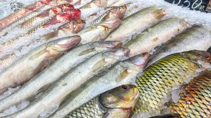 A large assortment of fish are displayed in a freezer. The fish are of various sizes and colors, including some that are yellow and some that are white
