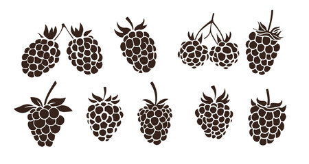 Raspberries Isolated White Background Set