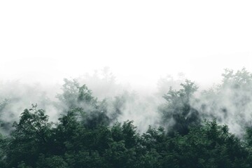 Obraz premium Aerial view of a plane flying above a dense forest shrouded in misty fog, suitable for travel or landscape backgrounds