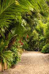 La Roque-Gageac, Dordogne, Nouvelle-Aquitaine, France 