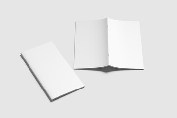 DL BROCHURE BLANK BACKGROUND