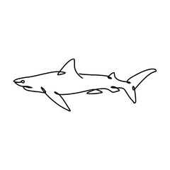 Sea Animal Line Art Vector Decorative