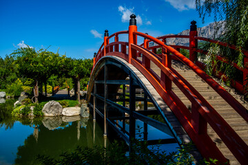 Fototapeta premium An oval wooden bridge over a pond in a Japanese garden.