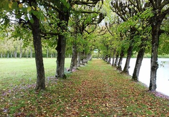 Jardin en automne du château de la Motte Tilly du XVIIIe siècle style Louis XV dans l'Aube, région Grand Est france, europe