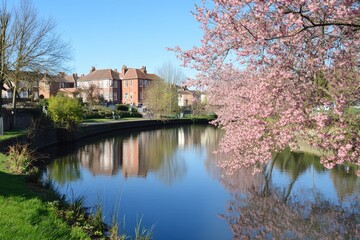 Obraz premium Springtime by the Water.