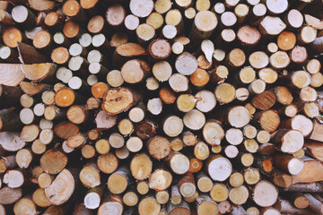 Stack of Cut Firewood Logs Showing Natural Wood Grain Texture