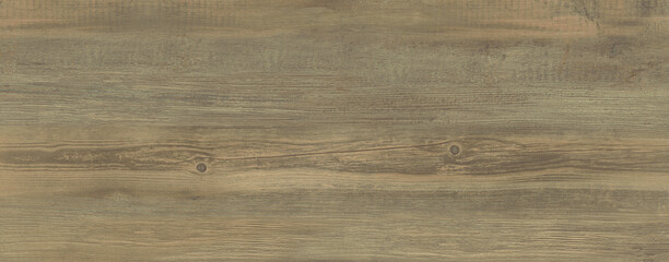 High quality wood texture. Wood texture for design.	