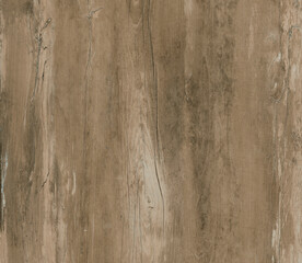 High quality wood texture. Wood texture for design.	