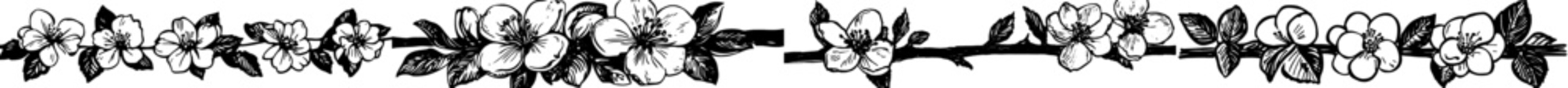 Fototapeta premium Apple blossom branch outline illustration in black and white.