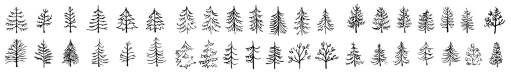 Obraz premium Doodled Christmas tree icon. Christmas tree hand drawn.