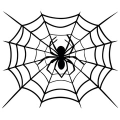 Obraz premium a spider sitting on a web, focusing on intricate web patterns