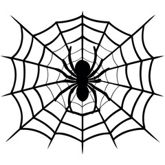 Fototapeta premium a spider sitting on a web, focusing on intricate web patterns