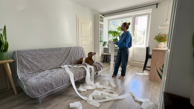 Surprised woman interacting with guilty-looking Vizsla dog unraveling toilet paper all over home. Loving female dog owner gently scolds playful, mischievous pet making messy in apartment. Dog behavior
