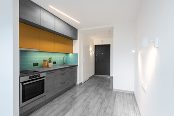 Modern Kitchen Interior with Stylish Colorful Furniture and Hardwood Floor. Oven, Sink, Flower, Minimalistic Interior Design. LED Lights, Hardwood Wooden Floor. White Walls. Open Space