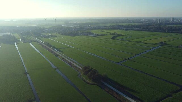 Misty morning, calm and true, green pastures wake with a breath of dew