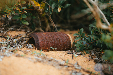 rusty metal aluminium drinks can on the beach