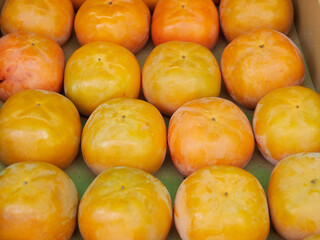 秋の収穫したたくさんの美味しい柿の風景