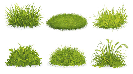 Set of vector grass illustrations on a white background Green flat meadows on white background Green turf vector set. Lawn field pasture grassland blades of grass Eco element foliage, stylized ecology