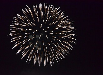 fireworks in the night sky