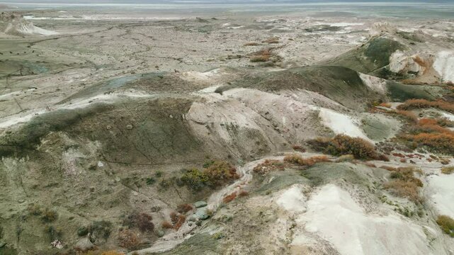 argali runs along the hill in the Boszhira tract, Kazakhstan