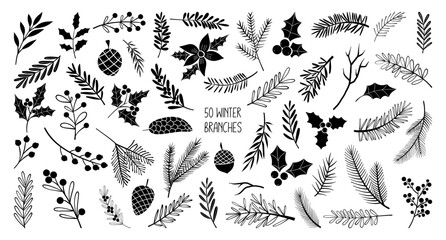 Line drawing Christmas winter branch silhouettes (pine branches, holly leaves, pinecones, fir tree twigs), hand drawn vector illustration © nastyasklyarova
