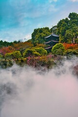 椿山荘の雲海
