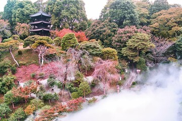 椿山荘の雲海