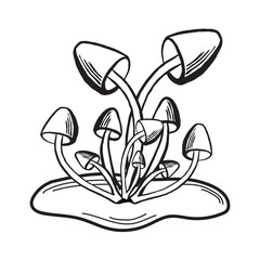 Honey fungus mushrooms sketch. Autumn forest harvest composition. Vector illustration hand drawn isolated. Ingredient for cooking raw food. Black and white fall arrangement. Clipart for print, card.