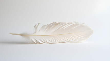 The feathers are separated on a white background, revealing their fine texture and bright green color.