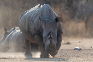 I'm coming for you © William