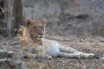 Tummy full eyes closed