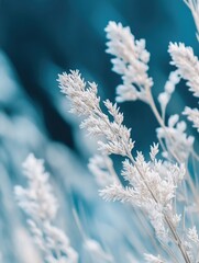 Serene Winter Landscape