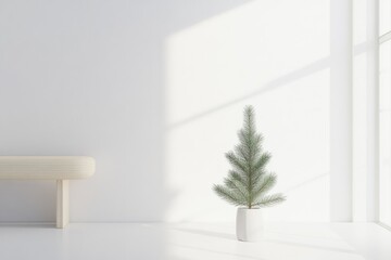 Minimalist Christmas Decor with Small Pine Tree in Sunlit White Space for Interior Inspiration