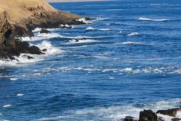 北海道　根室の花咲岬と流氷