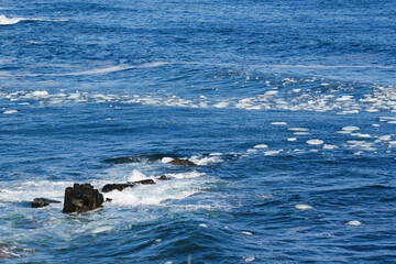 Fototapeta premium 北海道 根室の花咲岬と流氷