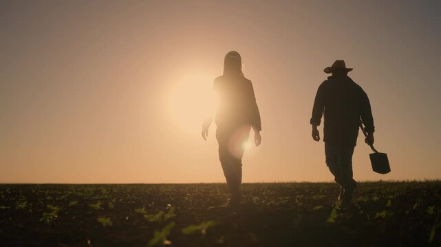 Female farmer and farm worker viewing soyabean farmland in sunrise, rear view. Two farmers, wife and husband, walking in field and dreaming, back view, backlit silhouette in sunset time, slow motion
