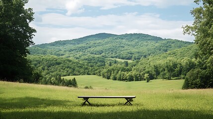 A solitary bench in a grassy field with a mountain backdrop