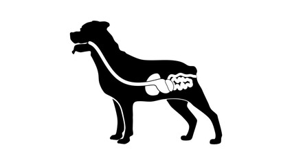 Digestive system of the dog, black isolated silhouette