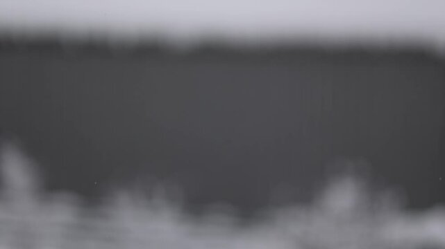 Snow falling gently, blurring the background for a peaceful winter effect.