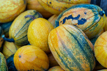 Beautiful pumpkins on a pile