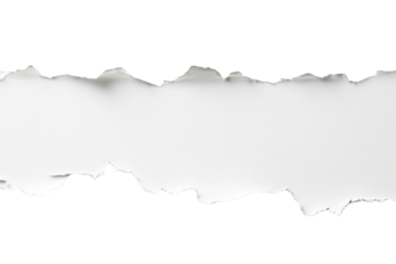 PNG White paper tear white background texture.
