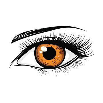 recommend clip art: eye with iris and eyelashes clip art