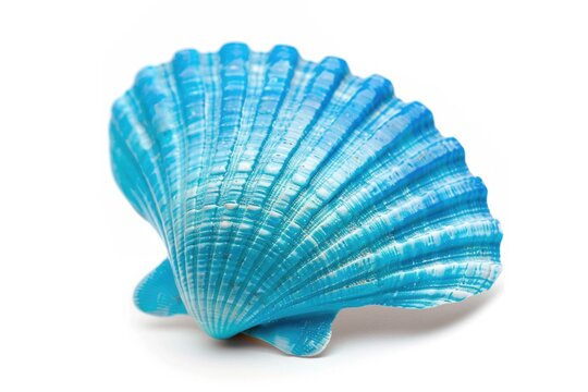A close-up shot of a blue shell on a white surface, ideal for use in designs related to nature or as a decorative element