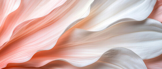 Soft, flowing curves in delicate shades of peach and white, resembling petals, create a serene and elegant visual composition.