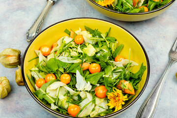 Salad from wild plants and physalis.