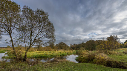 A tree stands in a field with a river running through it