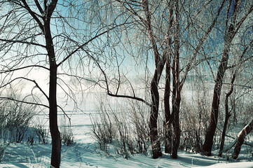 Winter wonderland scene with frosty snowy trees near the river at the winter sunrise. Winter...
